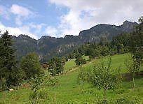 Gasthof Woell Alpbach Bagian luar foto