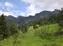 Gasthof Woell Alpbach Bagian luar foto